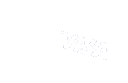 Visa / Mastercard